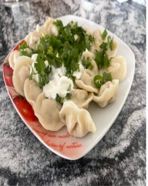 Homemade Chicken Dumplings