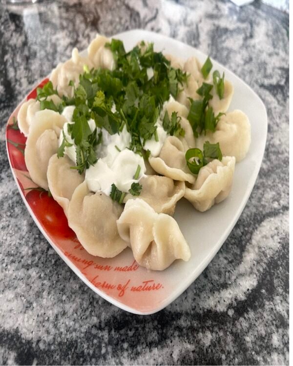 Homemade Chicken Dumplings